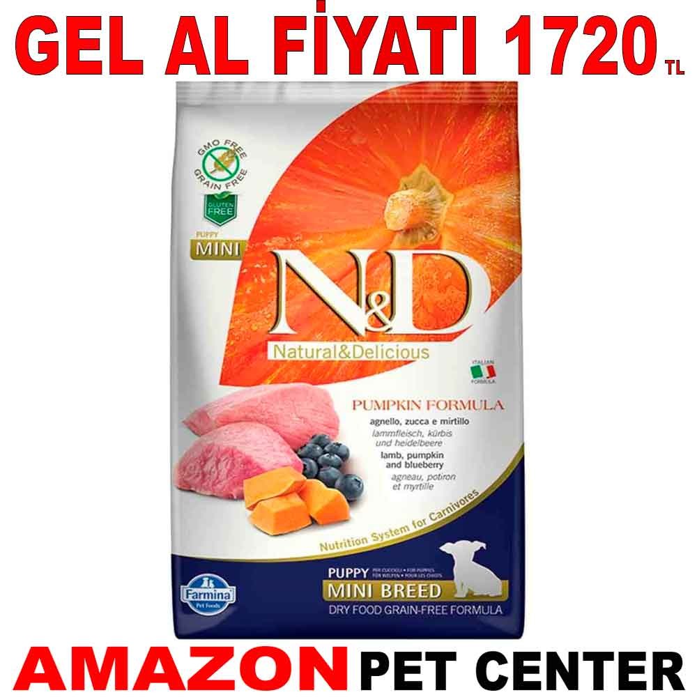 ND Balkabaklı Kuzu ve Yaban Mersinli Tahılsız Küçük Irk Yavru Köpek Maması 2,5 Kg Gel Al 18597004 Amazon Pet Center