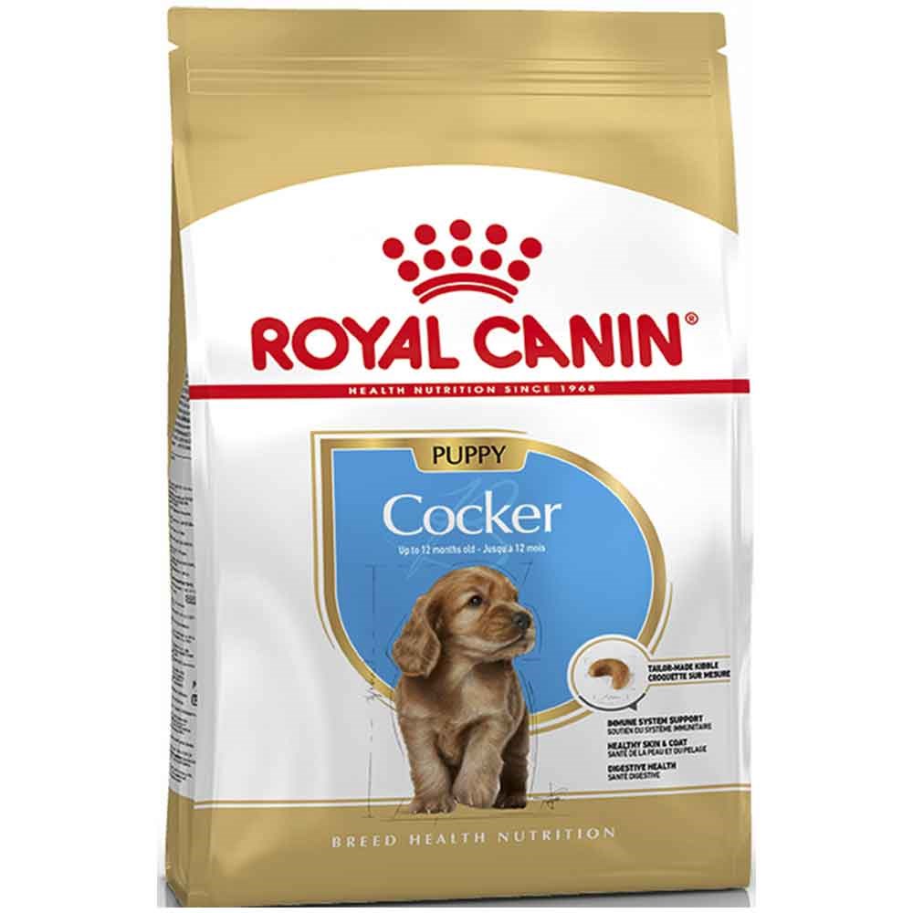 Royal Canin Cocker Junior Yavru Köpek Maması 3 Kg 3182550813211 Royal Canin Özel Irk Köpek Mamaları Amazon Pet Center