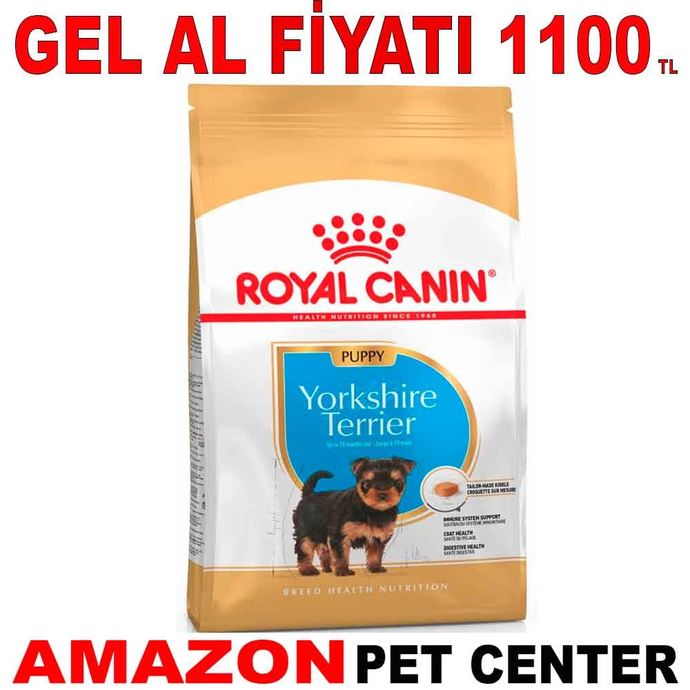 Royal Canin Yorkshire Terrier Junior 1,5 Kg Gel Al 18339000 Amazon Pet Center