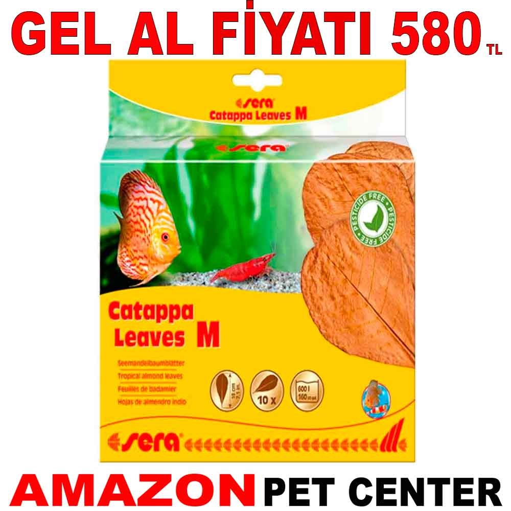 Sera Catappa Yaprağı M 18 cm 10 Ad Gel Al 35007807 Amazon Pet Center