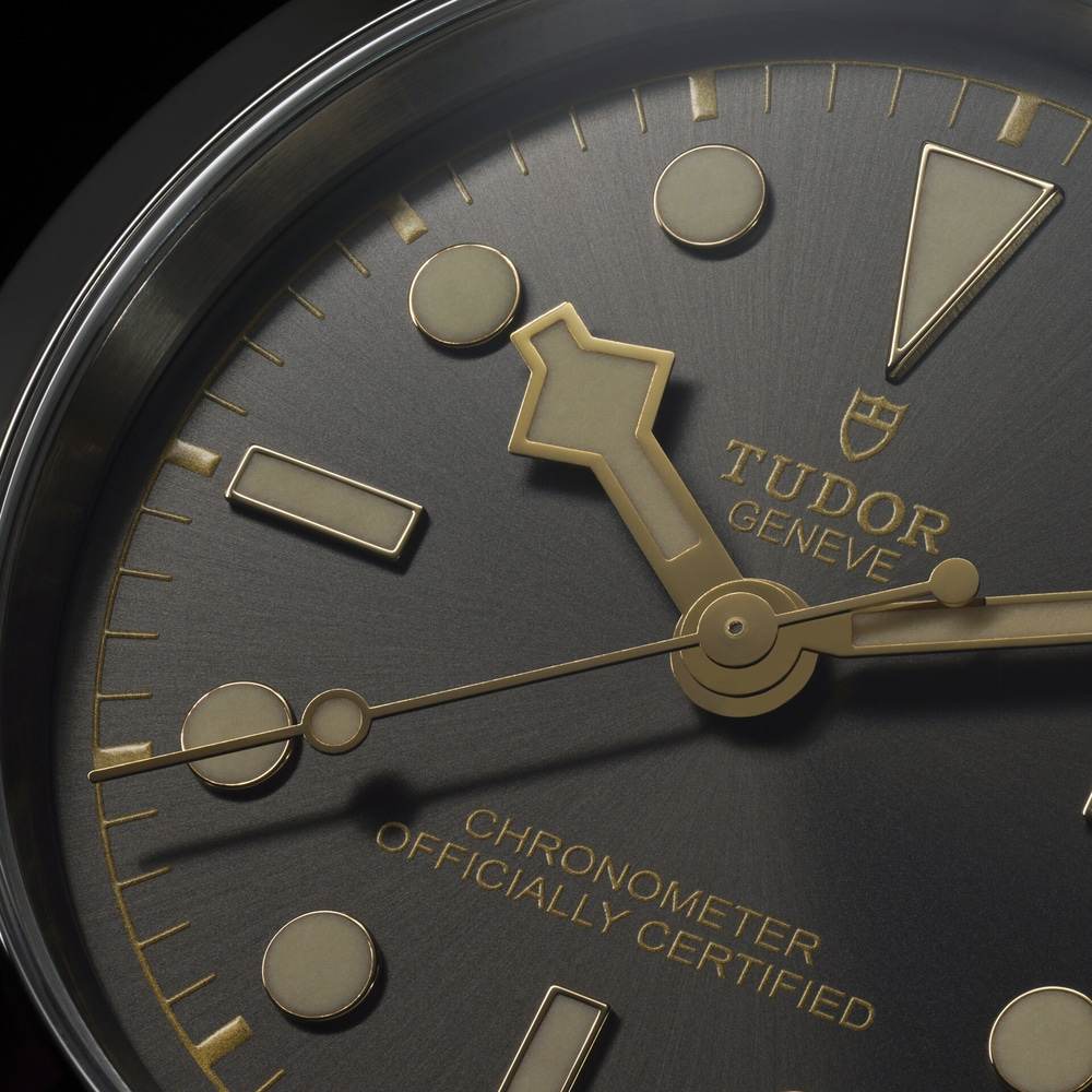 Tudor Black Bay  39