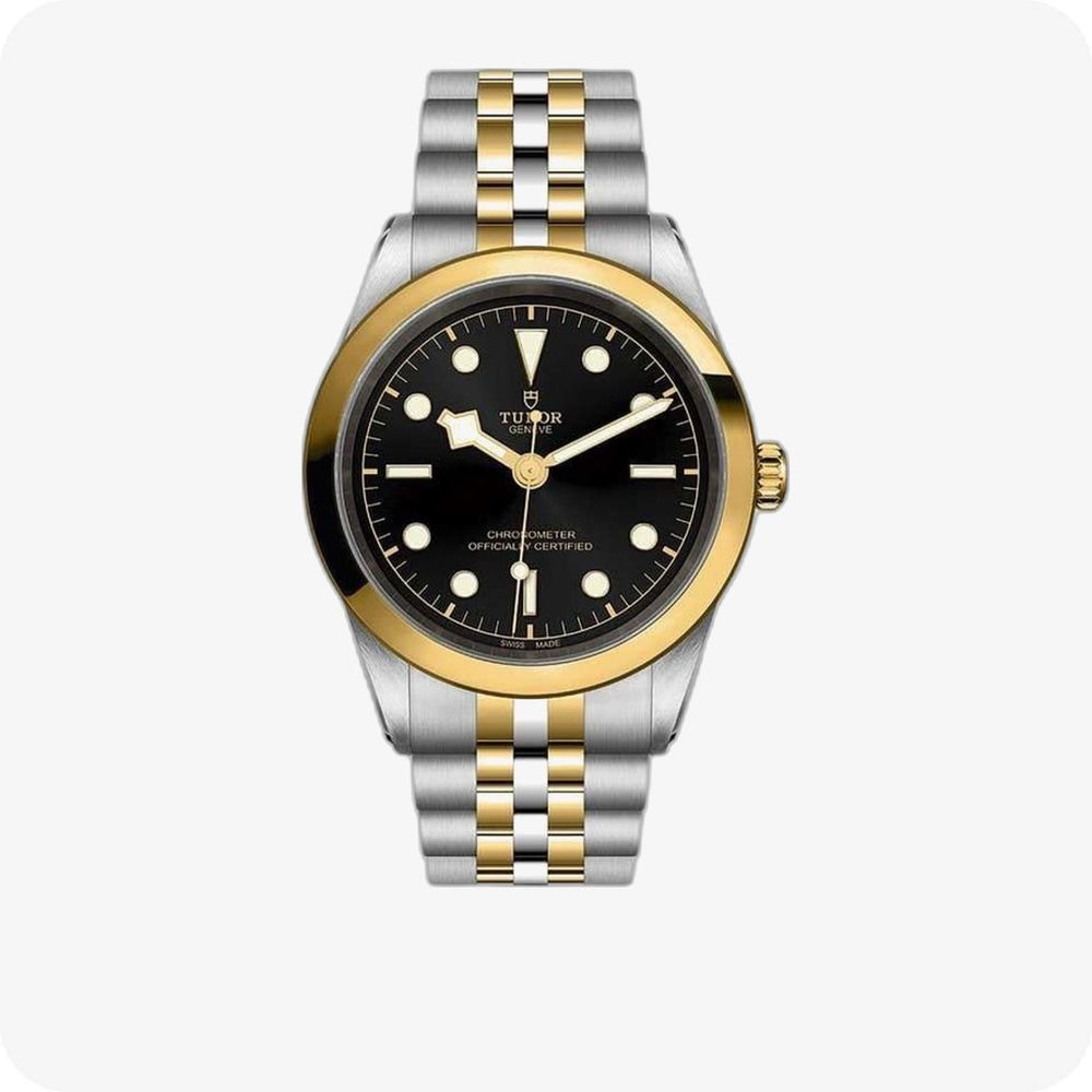Tudor Black Bay 