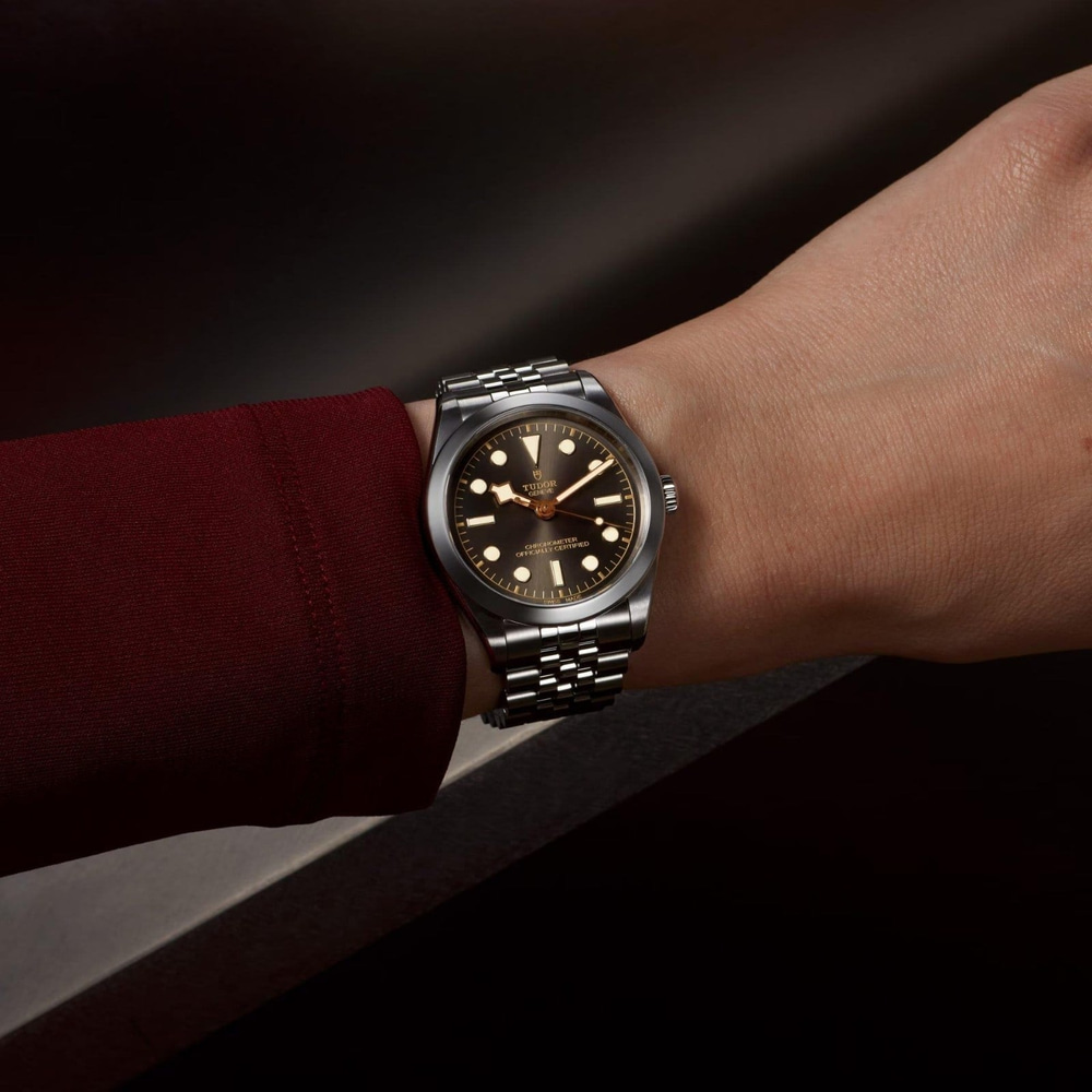 Tudor Black Bay  39