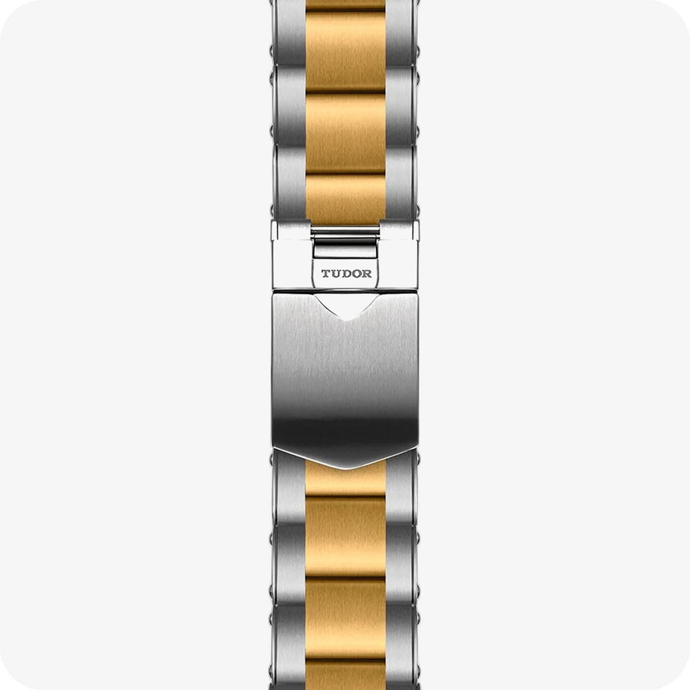 Tudor Black Bay 