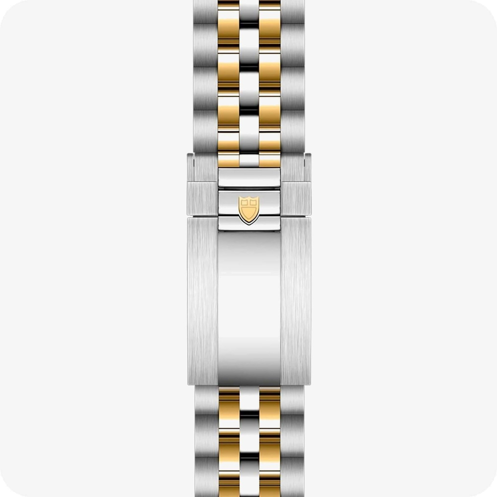 Tudor Black Bay 