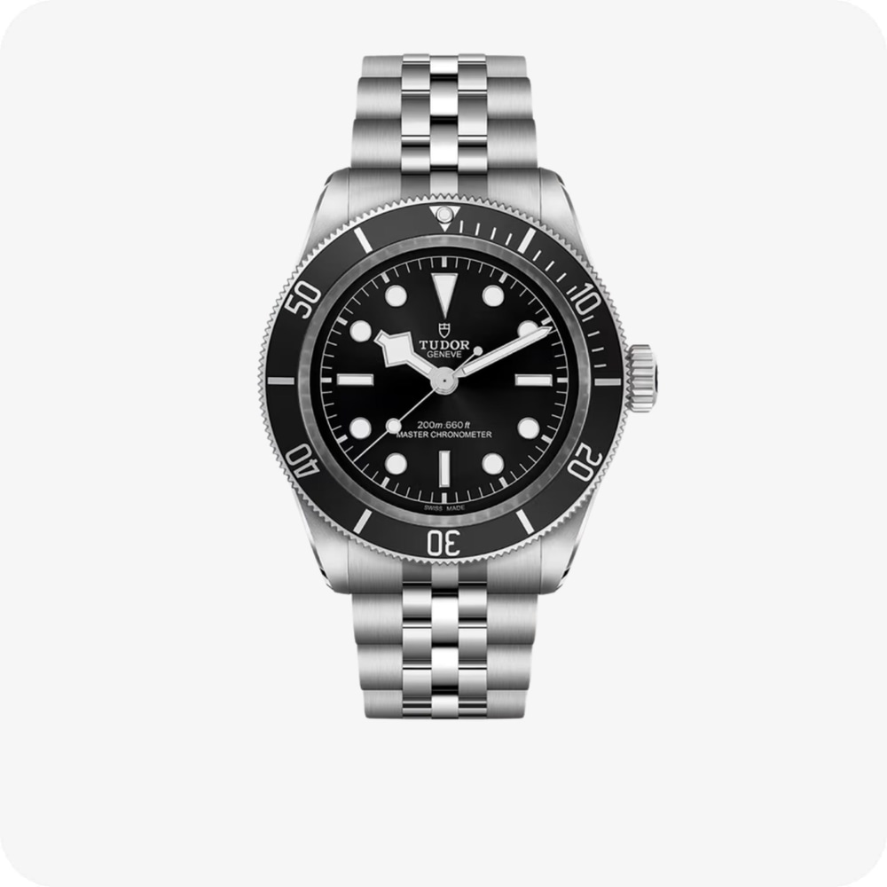 Tudor Black Bay  