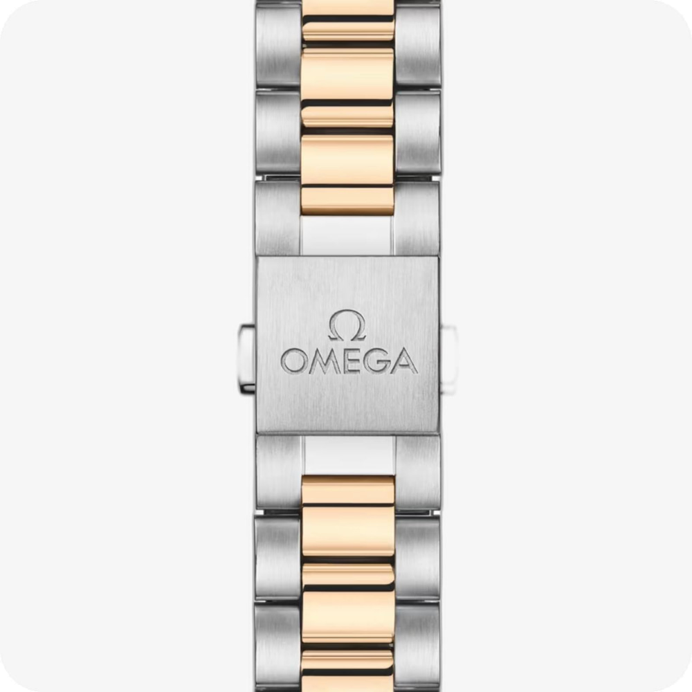 Omega Seamaster SeamasterAqua Terra 150M