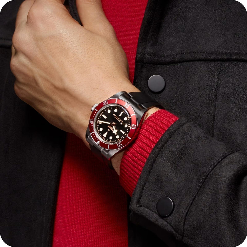 Tudor Black Bay  