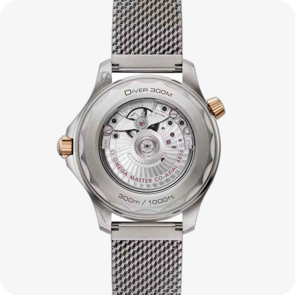 Omega Seamaster SeamasterDiver 300M