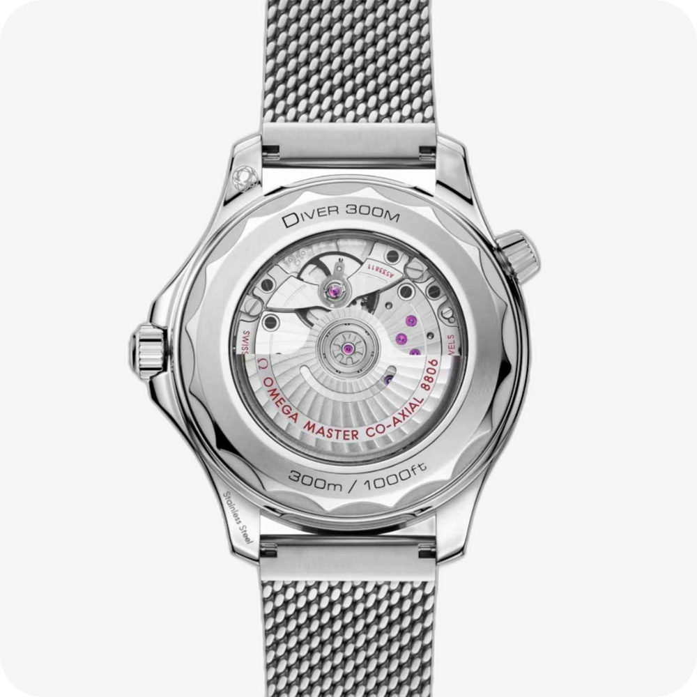Omega Seamaster SeamasterDiver 300M