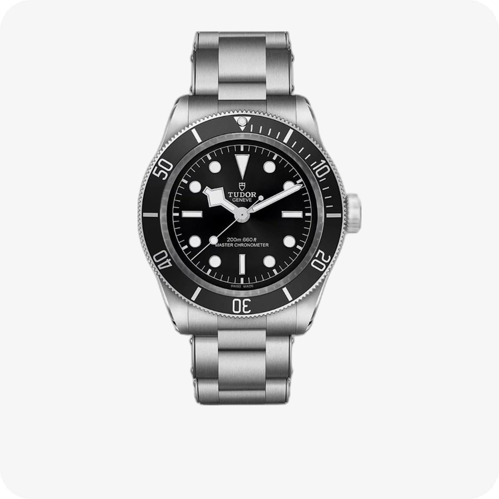 Tudor Black Bay  