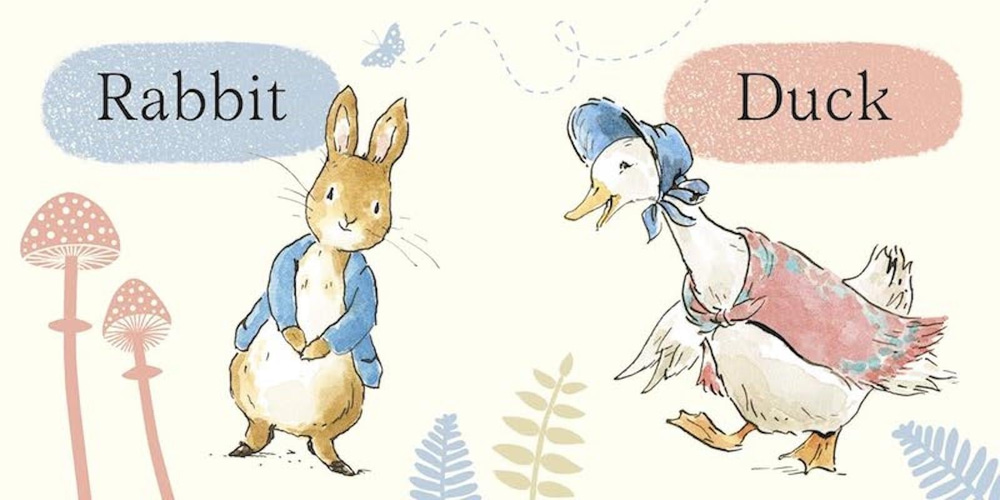 Peter Rabbit Little Library- Mini Kitaplar