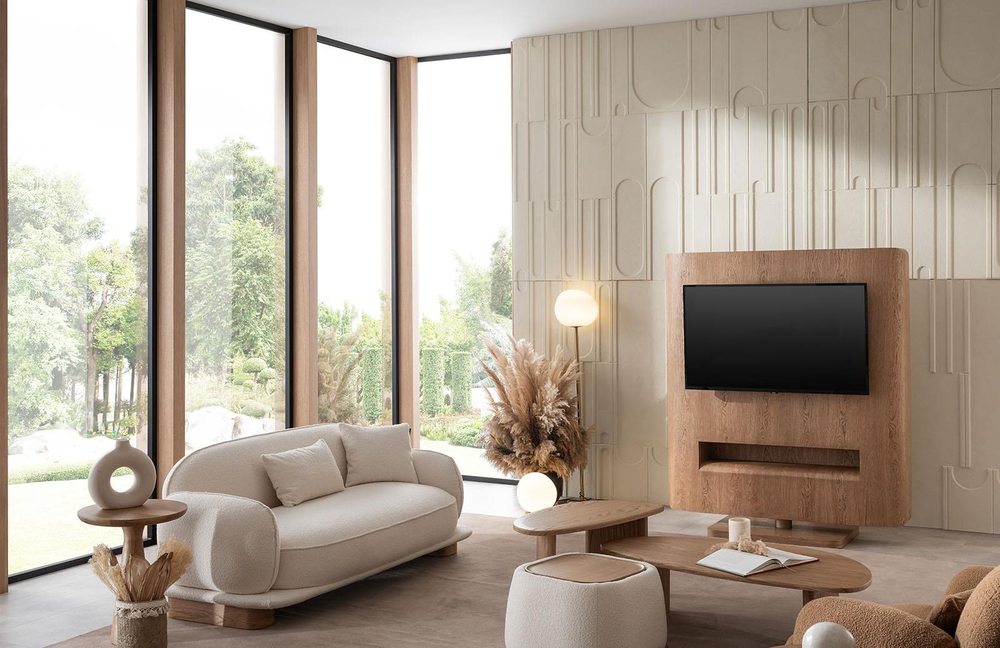 Ramoz Tv Ünitesi V2