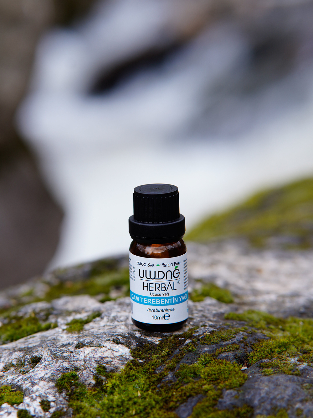 Çam Terebentin Yağı 10 ml