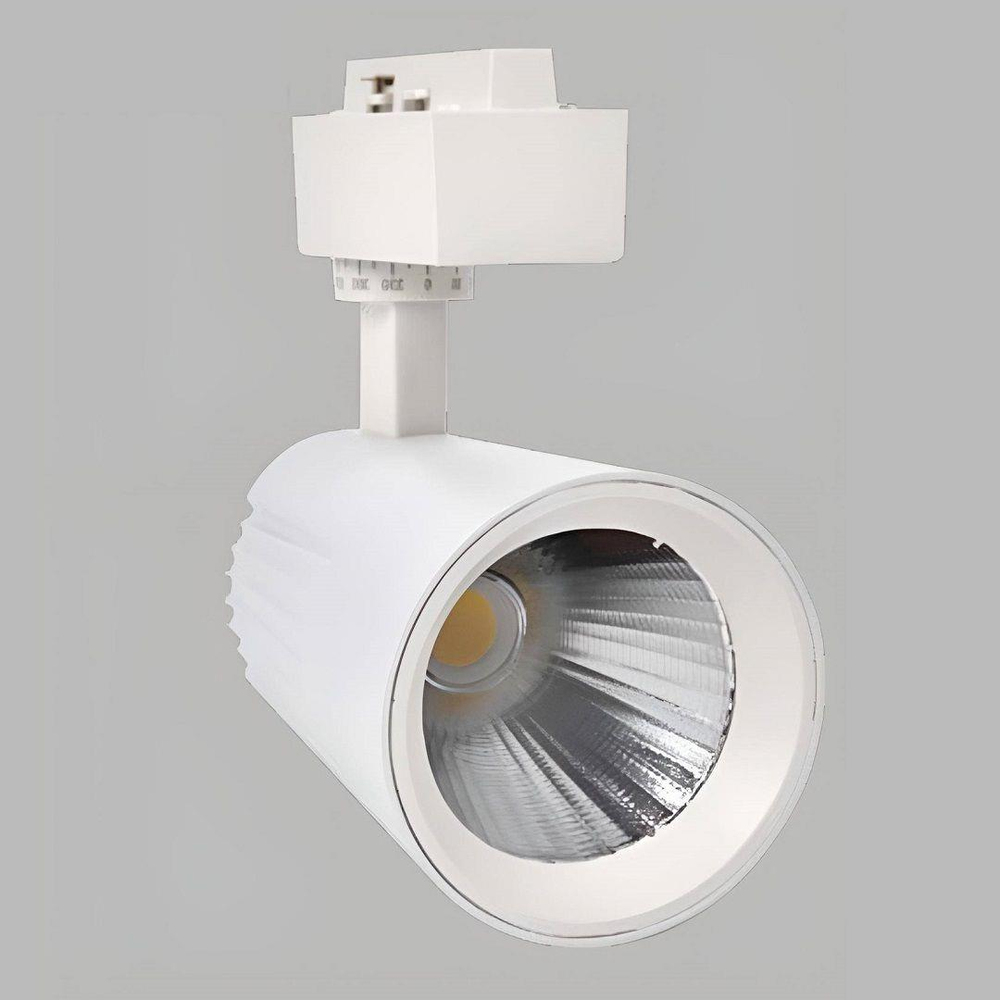 YRS-4505 45W Döküm Gövde Led Ray Spot