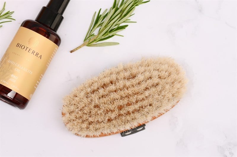 Bioterra At Kılı Fırçası