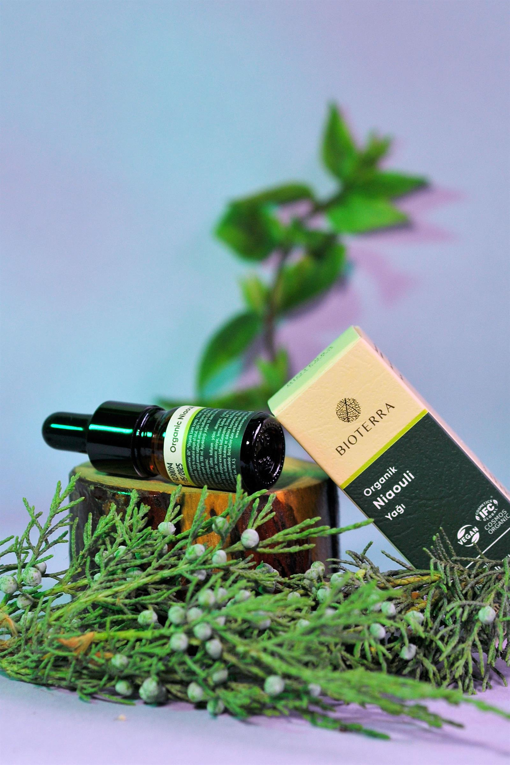 Bioterra Organik Niaouli Yağı  5ml