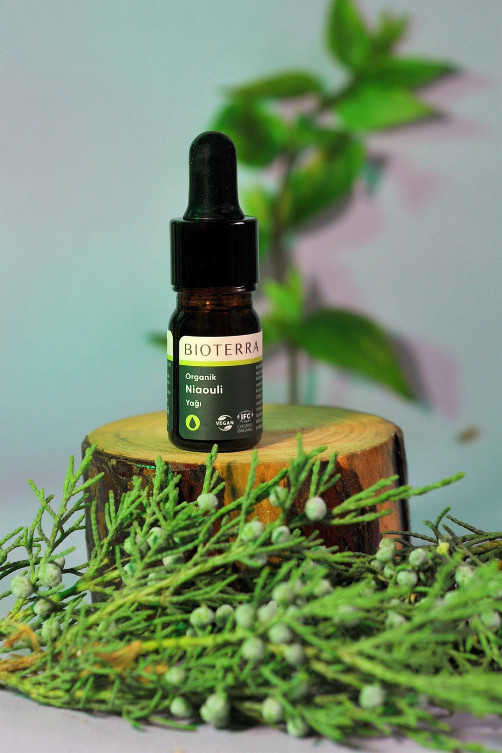 Bioterra Organik Niaouli Yağı  5ml