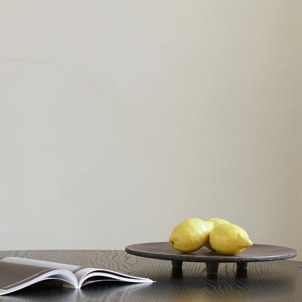 101 Copenhagen Duck Small Coffee Tepsi