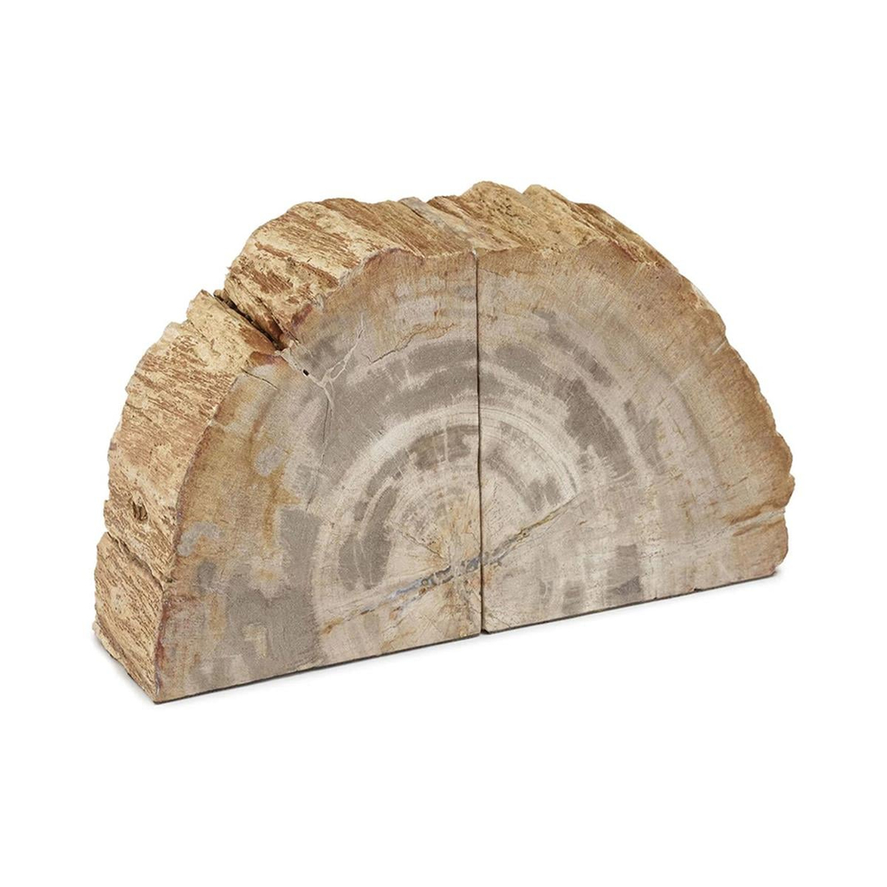 Mitchell Gold+Bob Williams Petrified Bookends