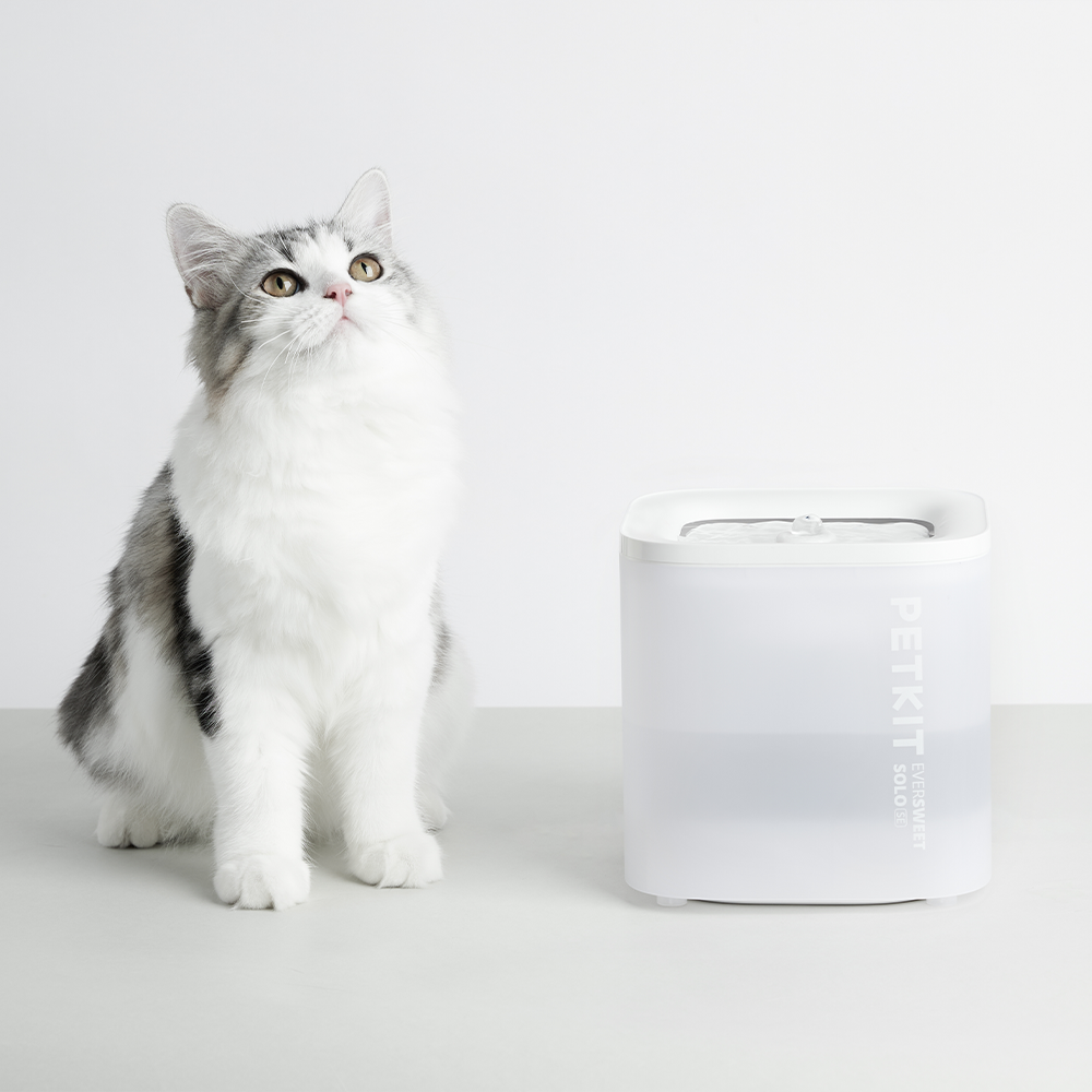 Petkit Eversweet Solo SE Su Pınarı Beyaz