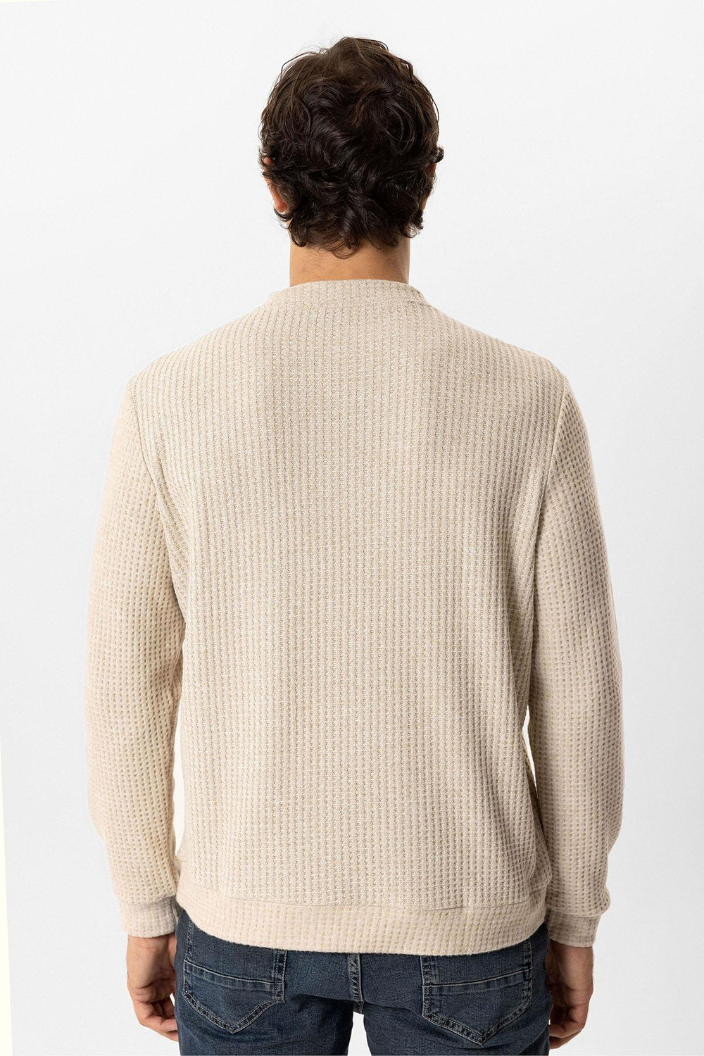 Bej Regular Fit Desenli Bisiklet Yaka Sweatshirt