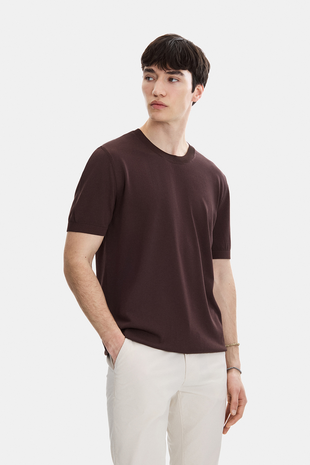 Kahve Regular Fit Bisiklet Yaka Triko Tişört