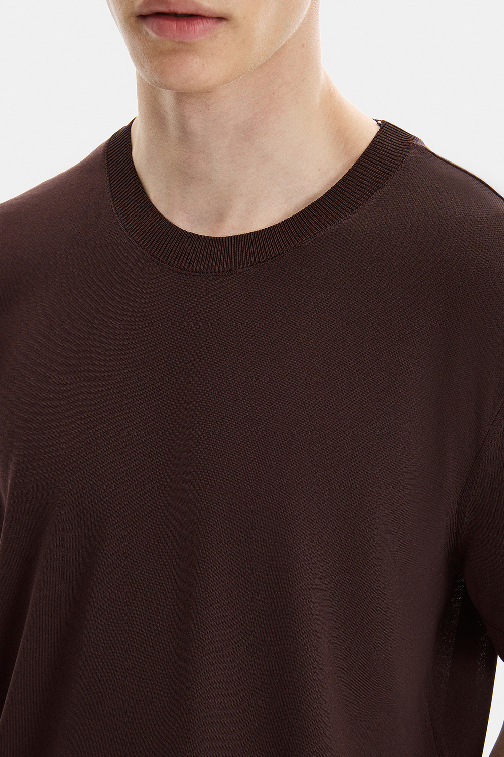 Kahve Regular Fit Bisiklet Yaka Triko Tişört