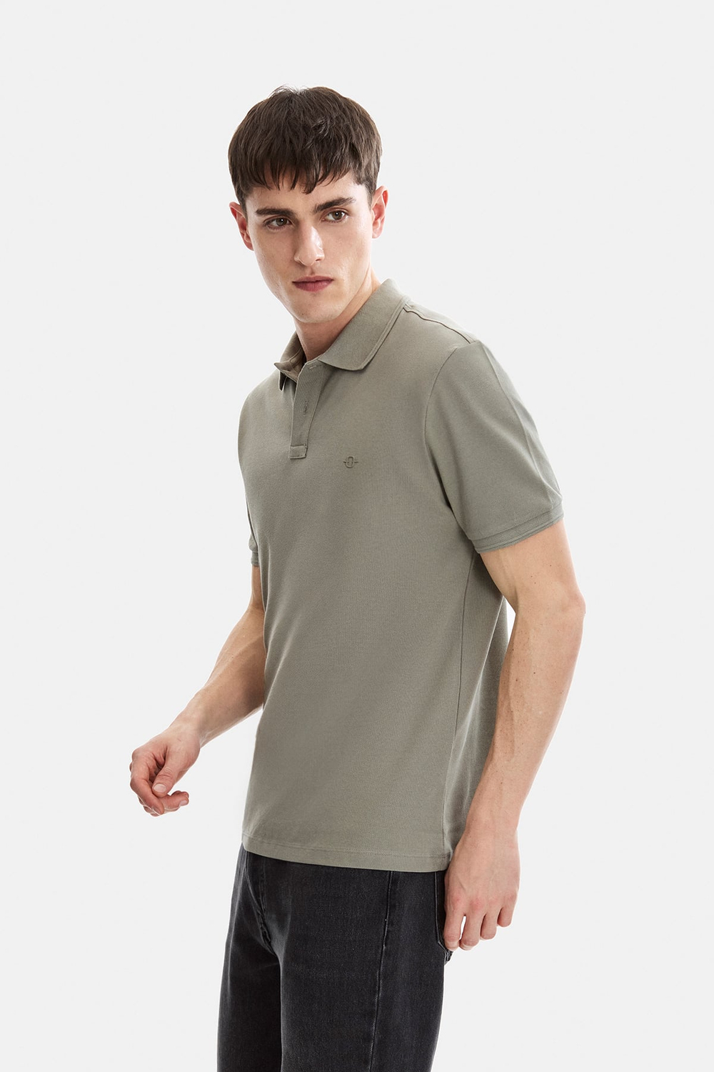 Adaçayı Regular Fit Polo Yaka Tişört