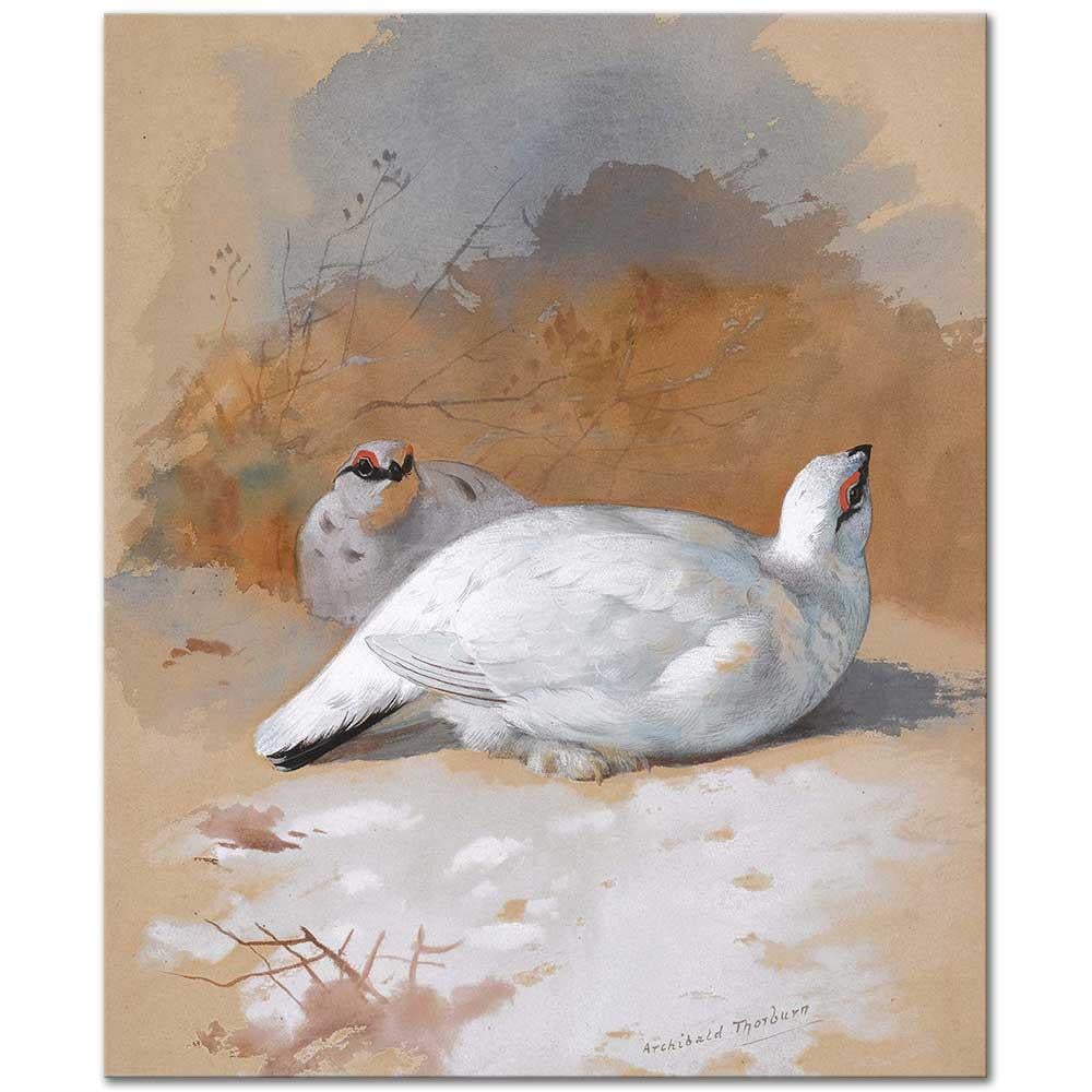 Archibald Thorburn Karda Dağ Kartavukları Kanvas Tablo