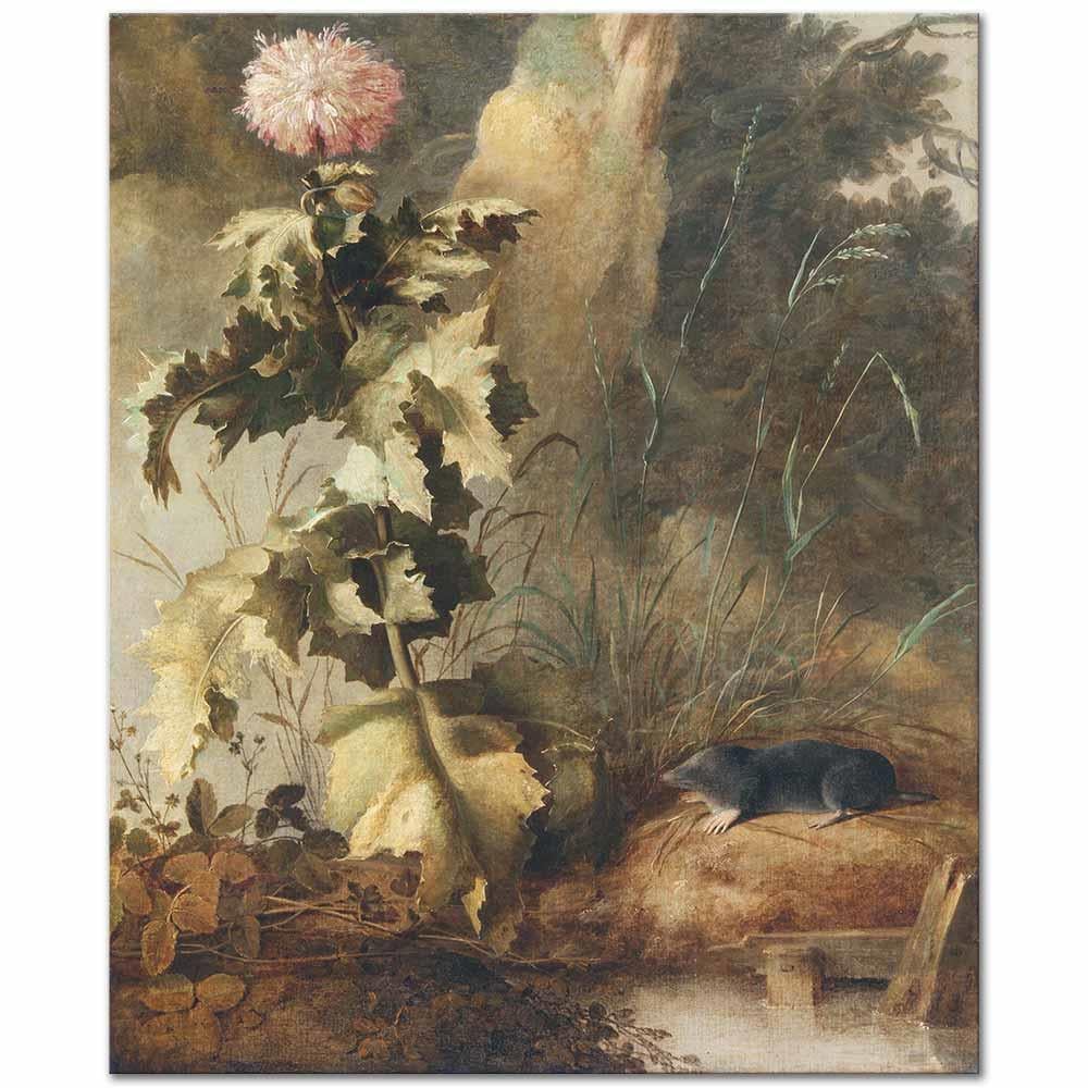 John Crome Haşhaş ve Su Köstebeği Kanvas Tablo