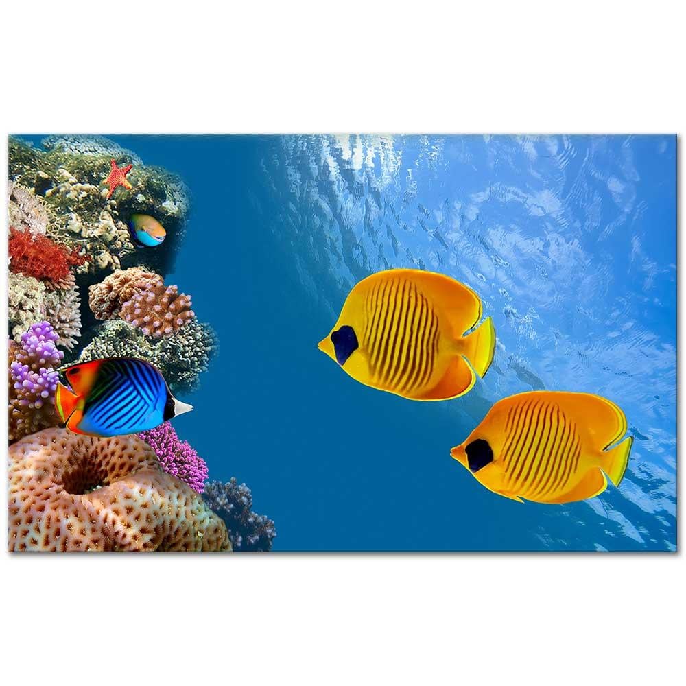 Akvaryum Kanvas Tablo