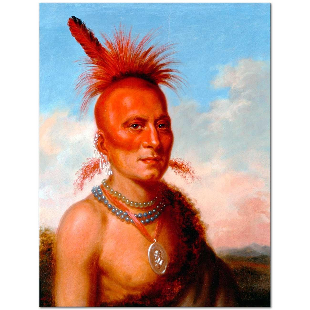 Charles Bird King Sharitarish Hınzır Şef Kanvas Tablo