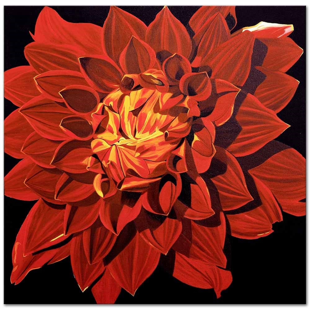 Chrysanthemum by Dagmar Göğdün as Fine Art Print