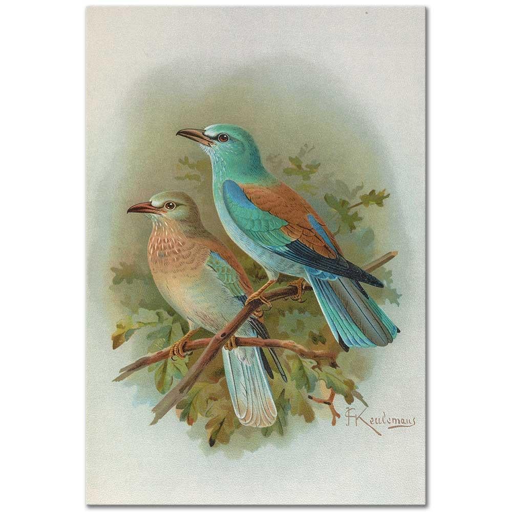 Johann Friedrich Naumann Coracias Garrulus Gökkuzgun Kanvas Tablo