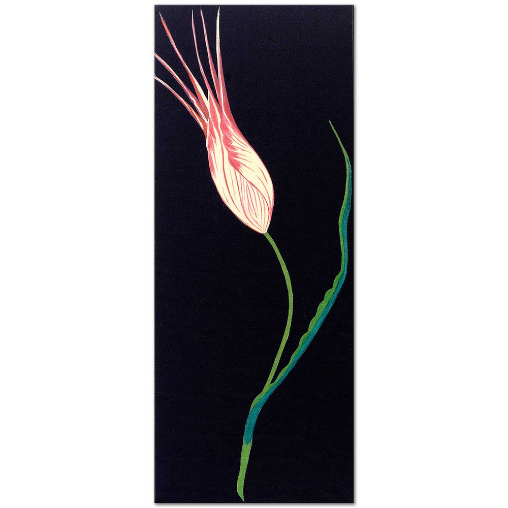 Dagmar Göğdün İstanbul Lalesi Kanvas Tablo