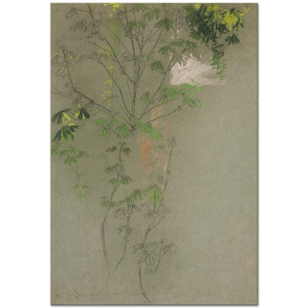 Edwin Austin Abbey Yapraklanan Ağaç Dalları Etüdü Kanvas Tablo