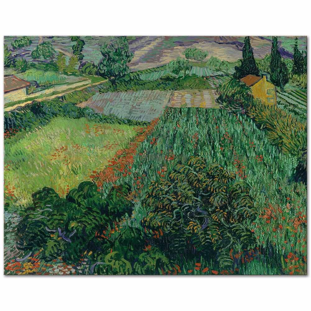 Field with Poppies by Vincent van Gogh as Fine Art Print