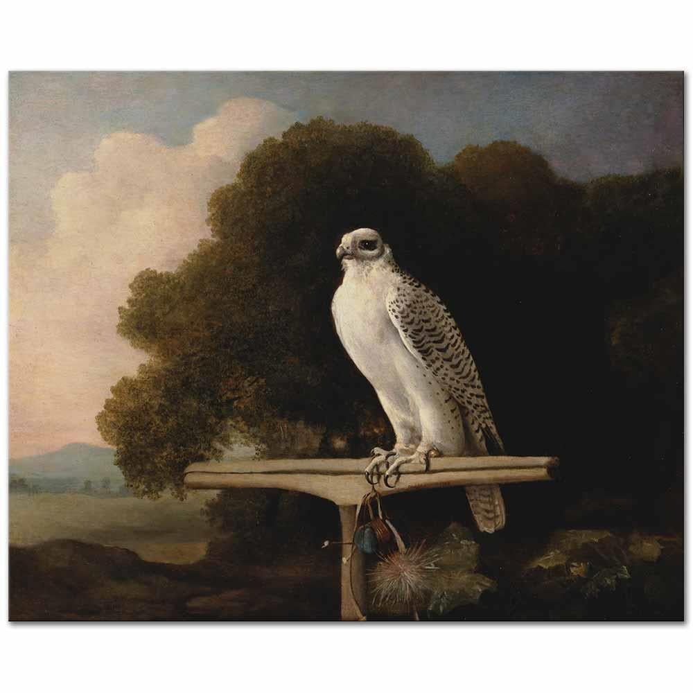 George Stubbs Grönland Şahini Kanvas Tablo