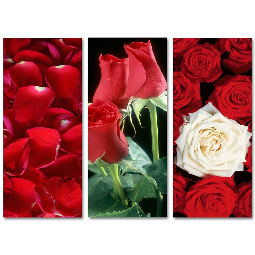 Güllerle Kompozisyon Sütunluk Üçlü Set Kanvas Tablo