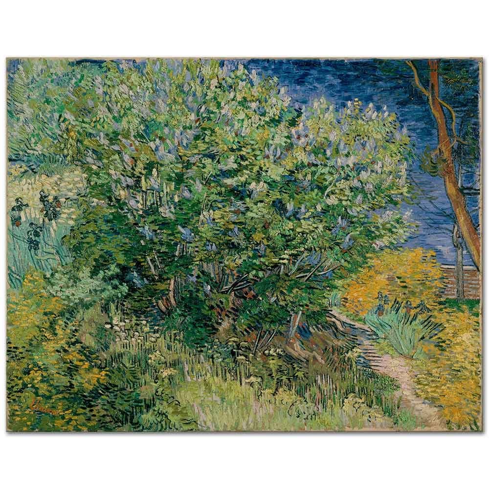 Lilac Bush by Vincent van Gogh as Fine Art Print