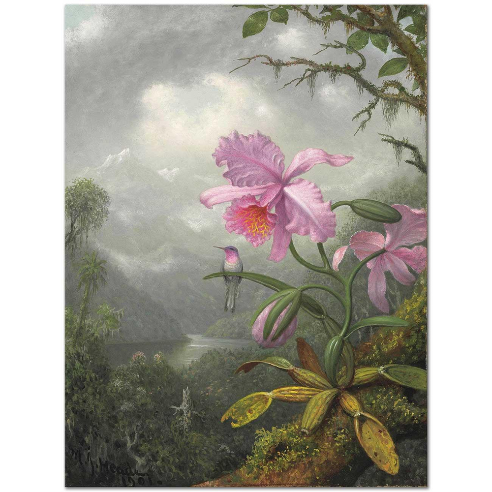 Martin Johnson Heade Orkide Üstüne Tünemiş Sinek Kuşu Kanvas Tablo