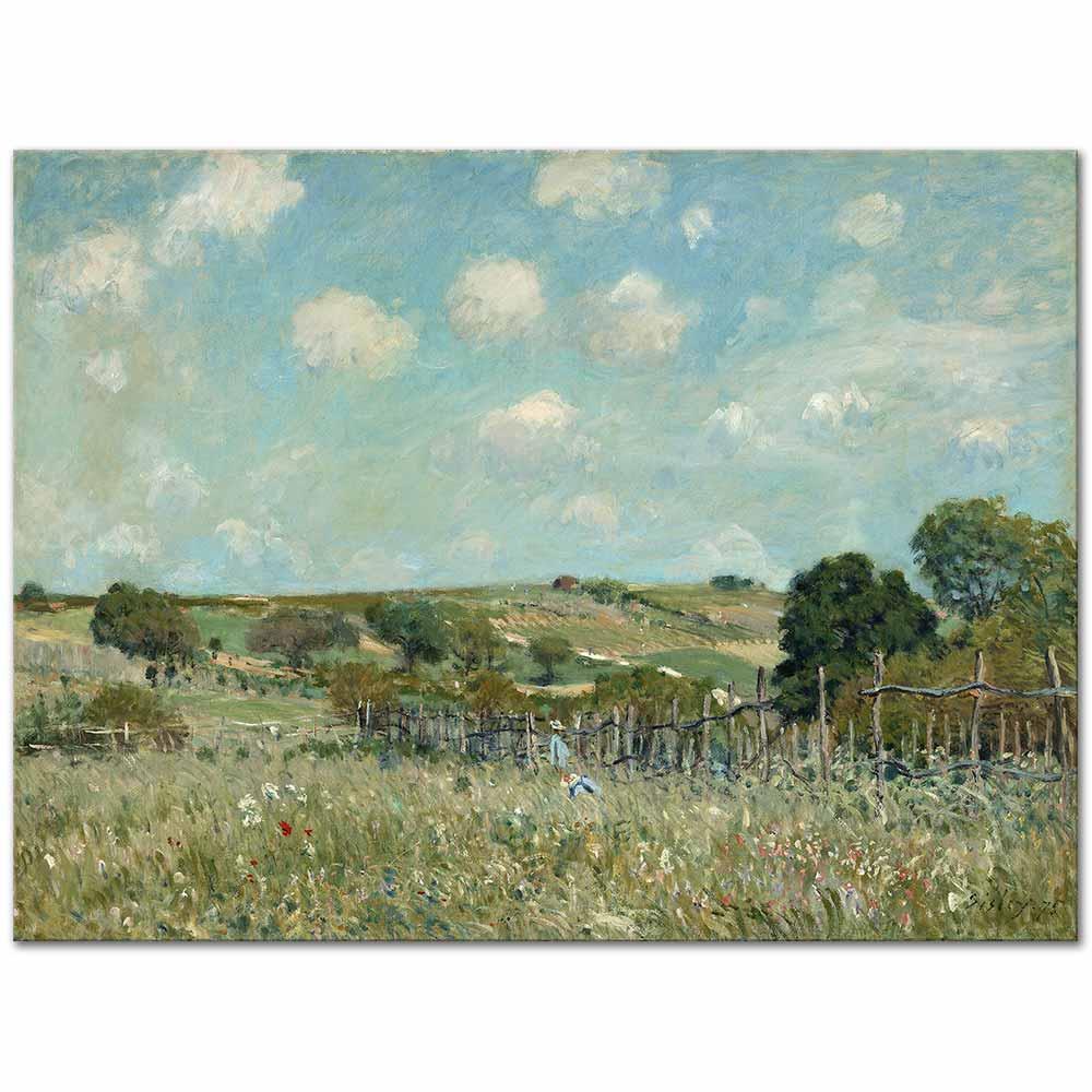 Alfred Sisley Çayır Kanvas Tablo