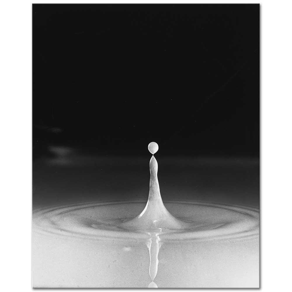 Harold Eugene Edgerton Süt Damlası Kanvas Tablo
