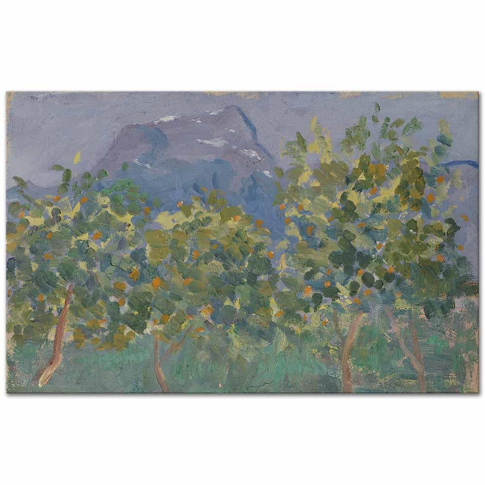 Ernesto Schiess Portakal Ağaçları ve Uzaktaki Dağ Kanvas Tablo