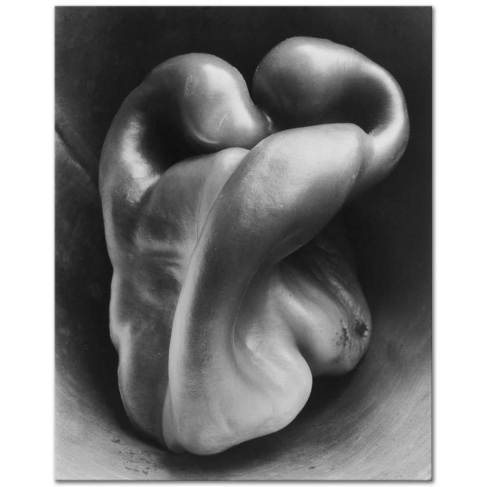 Edward Weston Biber No 30 Kanvas Tablo