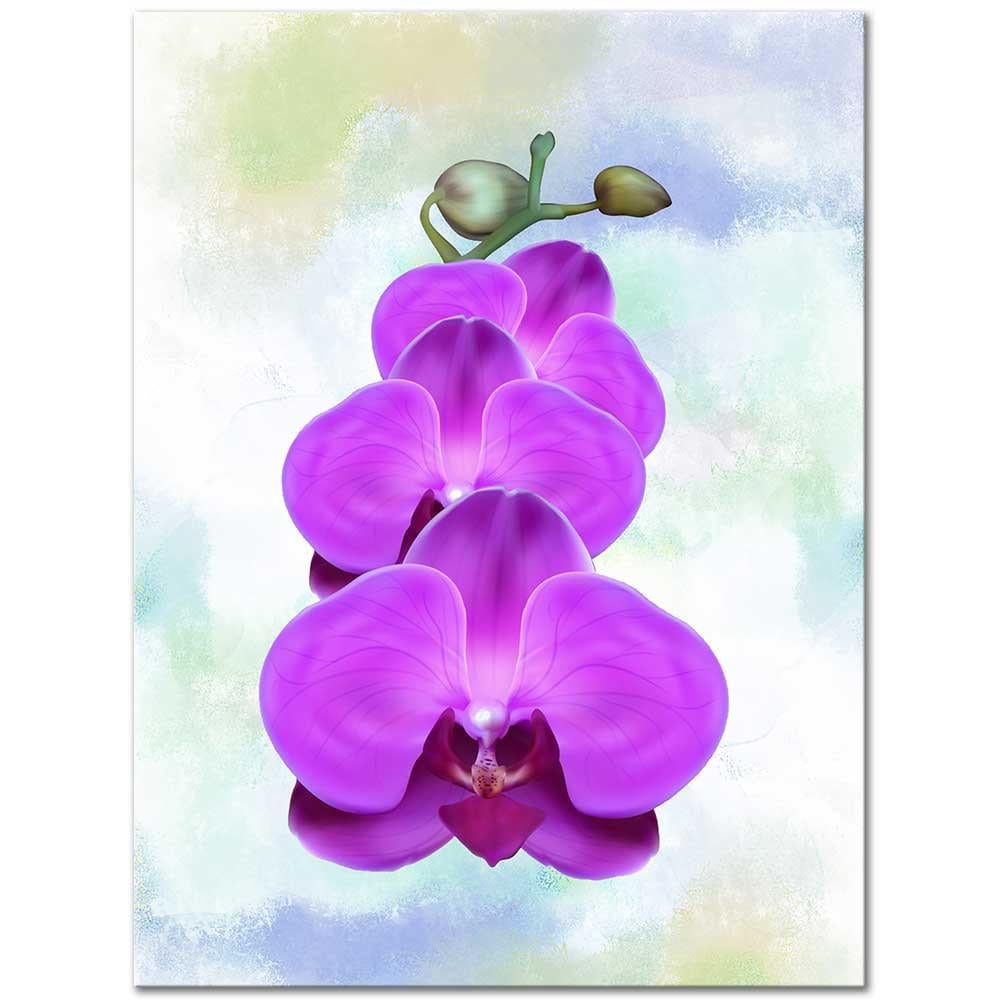 Mor Orkide Kanvas Tablo