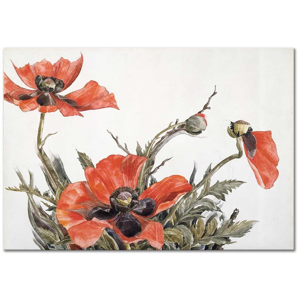 Charles Demuth Kırmızı Gelincikler Kanvas Tablo