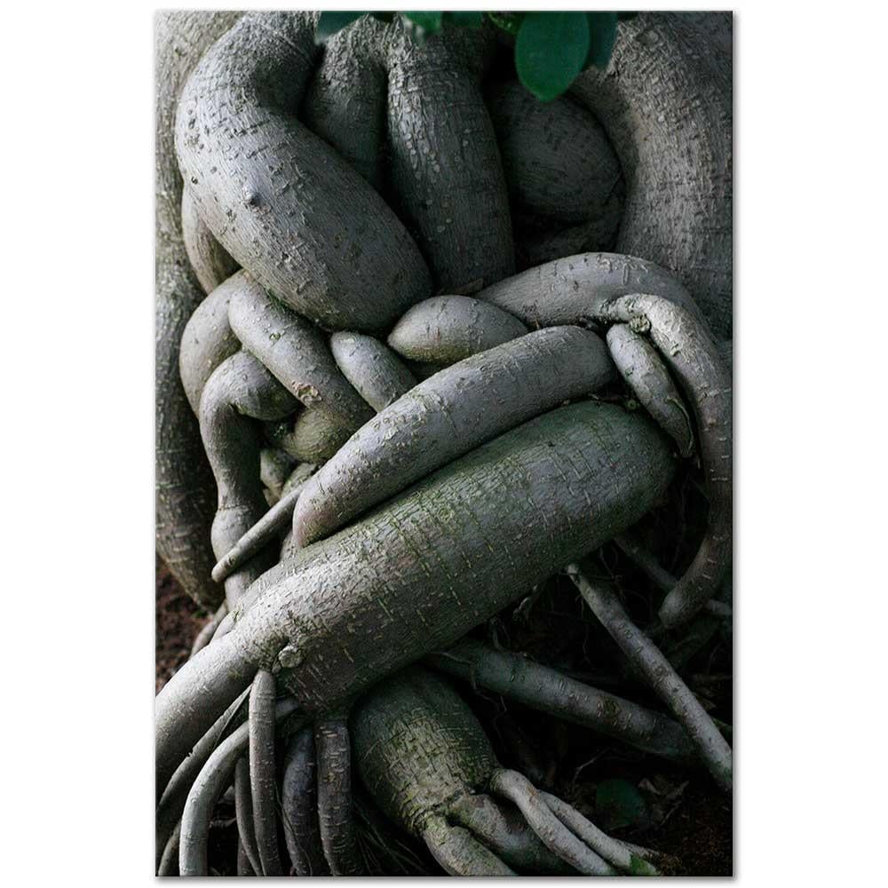 Sabahattin Kayış Aşıklar