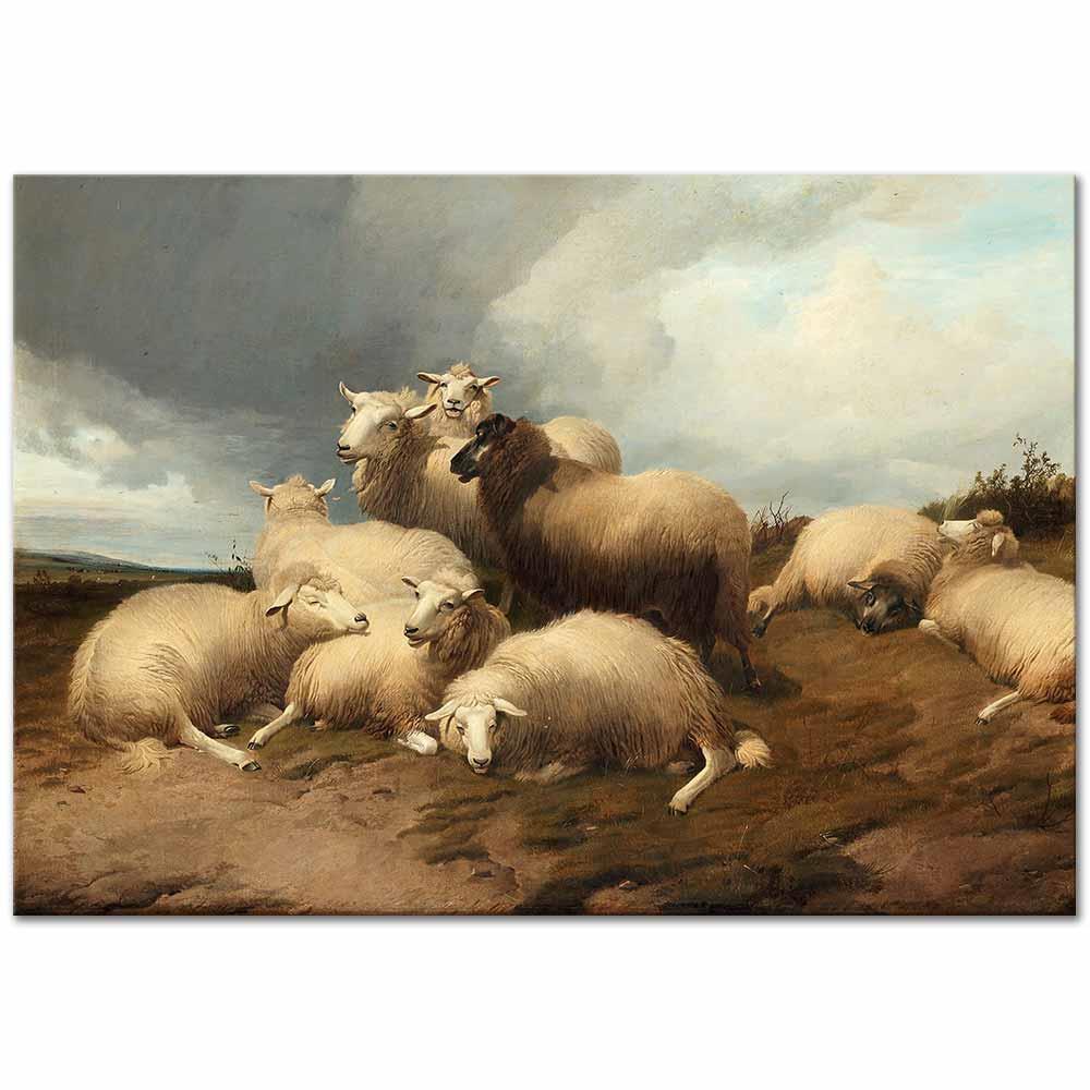 Thomas Sidney Cooper Mezrada Koyunlar Kanvas Tablo